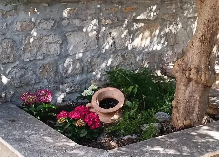 Diocletian Garden Centar Lejlighed